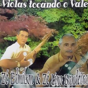 Violas Tocando o Vale