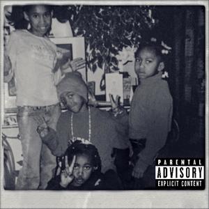 Hip Hop **** (feat. Lil Flip) (Explicit)