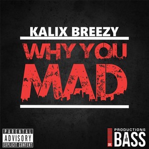 Why You Mad (Explicit)