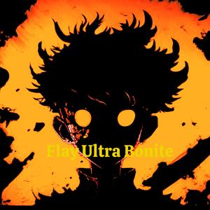 Flay Ultra Bonite