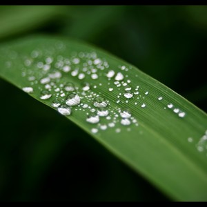 Strong Rain Vietnam