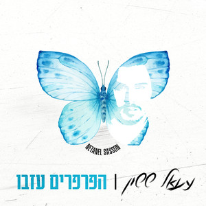 הפרפרים עזבו