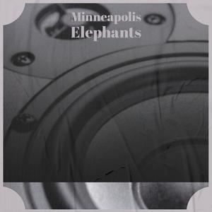 Minneapolis Elephants