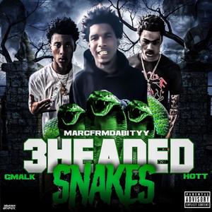 3 Headed Snakes (Explicit)