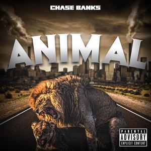 ANIMAL (Explicit)