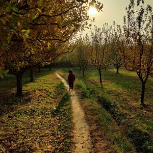 Kuch Baatein(Raw)(feat. Saksham Dhar & Anubhav Pradhan)