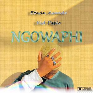 Ngowaphi (feat. Kid Pablo) [Explicit]