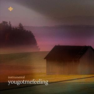 yougotmefeeling (no/vox’s version)