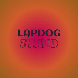 Lapdog Stupid