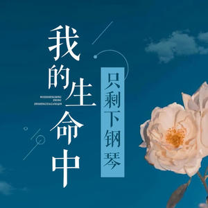泪海（钢琴曲）-助眠减压催眠曲