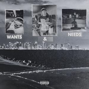 WANTS & NEEDS (Explicit)