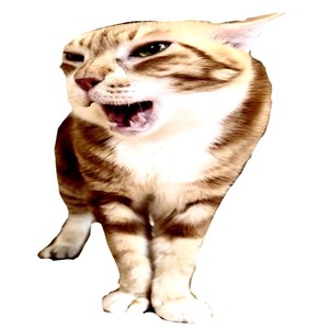 i just want some chips (Explicit)