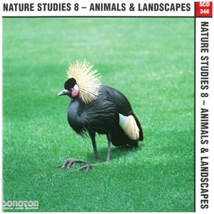 Nature Studies, Vol. 8: Animals & Landscapes