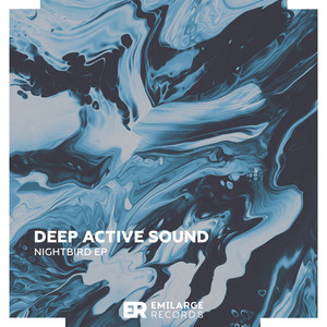 Nightbird (Original Mix)