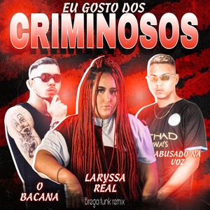 Eu Gosto dos Criminosos (Explicit)