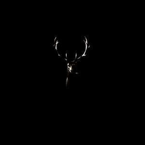 AKTEON (feat. Bolesław Leśmian) (Minimal Techno Version @ 2025)