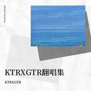 火鸟功封面