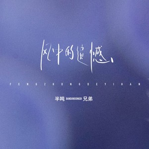 半吨兄弟《风中的遗憾》[MP3_LRC]_MP3免费下载