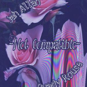 Not Compatible (Explicit)