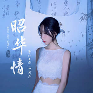 昭华情 (DJ阿卓版)封面