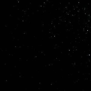 fantasy liver (Explicit)