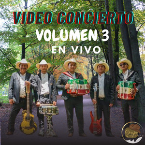 Video Concierto Vol. 3 (En Vivo)