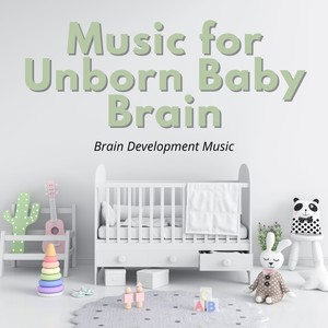 Music for Unborn Baby Brain - Brain Development Music