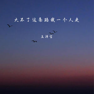 大不了这条路我一个人走