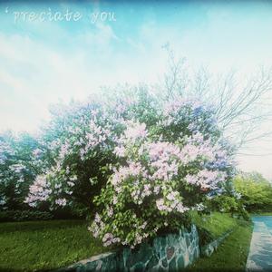 'preciate you (Explicit)