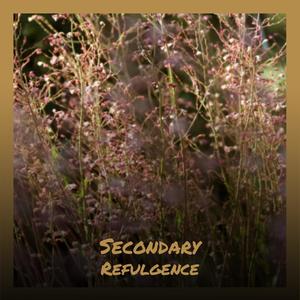 Secondary Refulgence