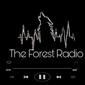 The Forest Radio (Explicit)