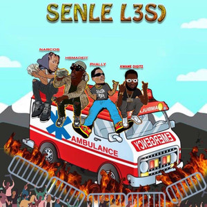 SENLE L3S) (Explicit)