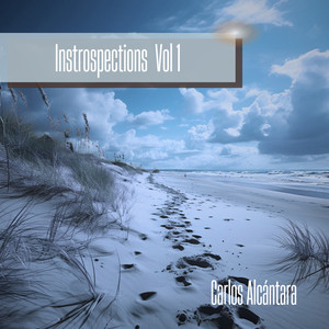 Instrospections Vol 1