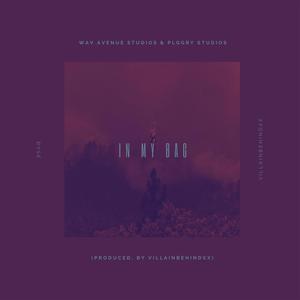 In My Bag(feat. Bvse) (Explicit)