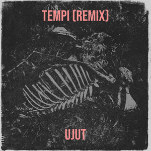 Tempi (Remix) [Explicit]