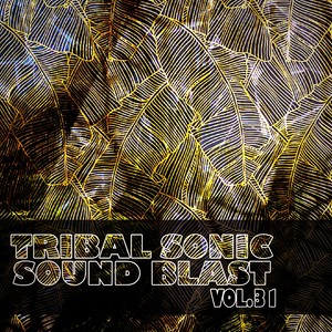 Tribal Sonic Soundblast,Vol.31 (Explicit)