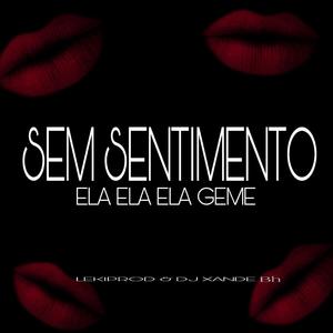 Sem Sentimento Ela Ela Ela Geme (Dj xande Bh & LekiProd Remix) [Explicit]