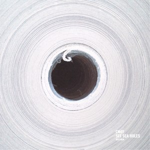 Polar Train（极地列车）