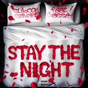 Stay the Night (feat. Sassey) [Explicit]