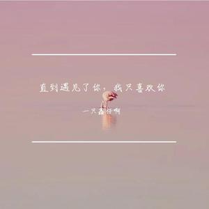 直到遇见了你，我只喜欢你 (Single Version)
