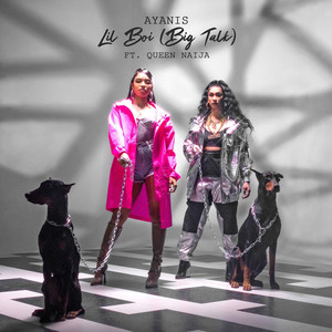 Lil Boi (Big Talk) [feat. Queen Naija] [Clean]