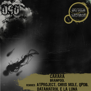 Brainpool (Datamatrix Remix)