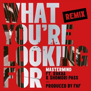 What You're Looking For[feat. Rakaa & Shomori Pass] (Remix)