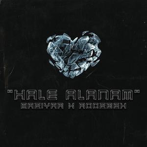 Hale alanam (feat. Roozbeh) (Explicit)