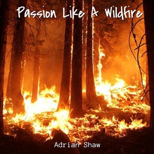 Passion Like a Wildfire