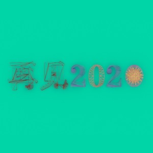 再见2020