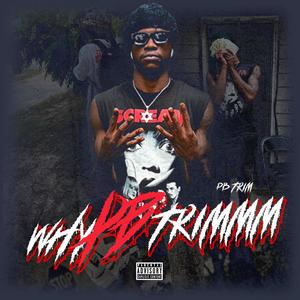 WhyPBTrimmm (Explicit)