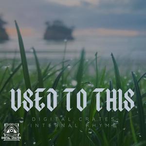 Used to This (feat. Internal Rhyme)