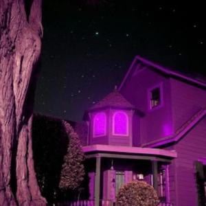 Bubble Gum ***** (feat. Freddy Flacko) (Explicit)