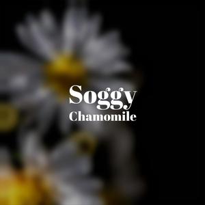 Soggy Chamomile